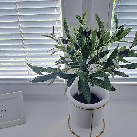 Cozy Lux Bedroom With Balcony In Dorcol Beograd